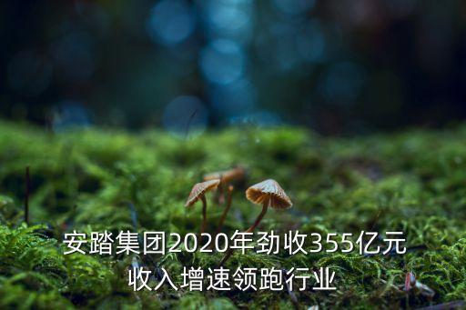  安踏集團2020年勁收355億元收入增速領跑行業(yè)