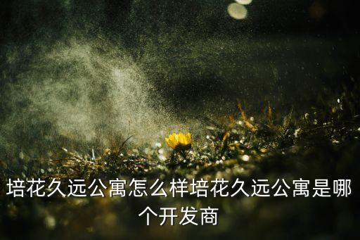 培花久遠公寓怎么樣培花久遠公寓是哪個開發(fā)商