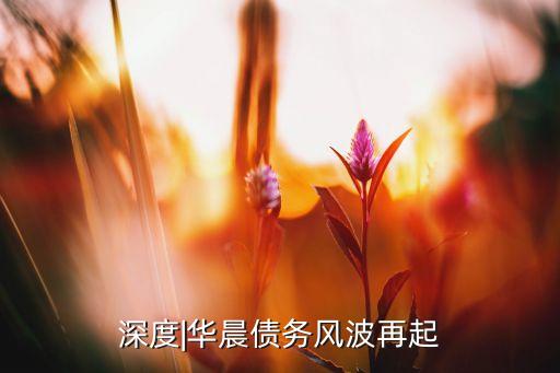 深度|華晨債務風波再起