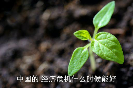 中國的 經(jīng)濟危機什么時候能好