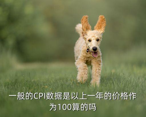 一般的CPI數(shù)據(jù)是以上一年的價格作為100算的嗎