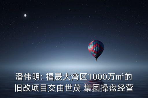 潘偉明: 福晟大灣區(qū)1000萬㎡的舊改項目交由世茂 集團操盤經(jīng)營