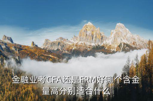 金融業(yè)考CFA還是FRM好哪個含金量高分別適合什么