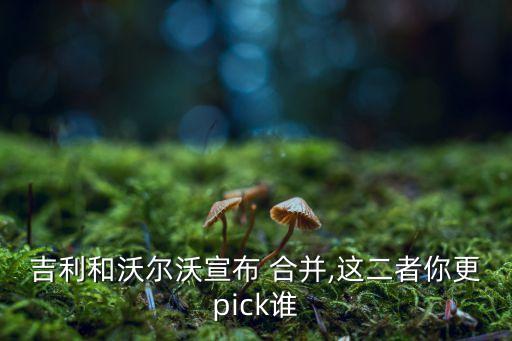 吉利和沃爾沃宣布 合并,這二者你更pick誰