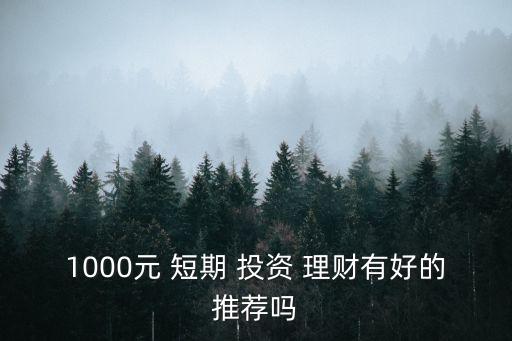 1000元 短期 投資 理財(cái)有好的推薦嗎