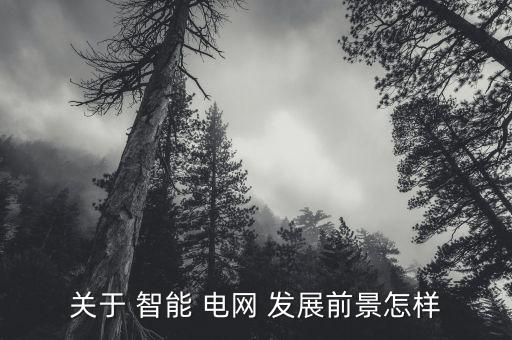 關(guān)于 智能 電網(wǎng) 發(fā)展前景怎樣