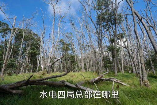  水電四局總部在哪里