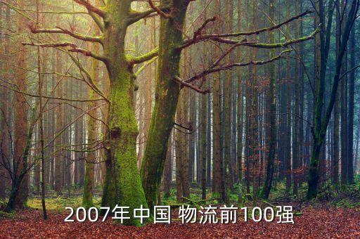 2007年中國 物流前100強