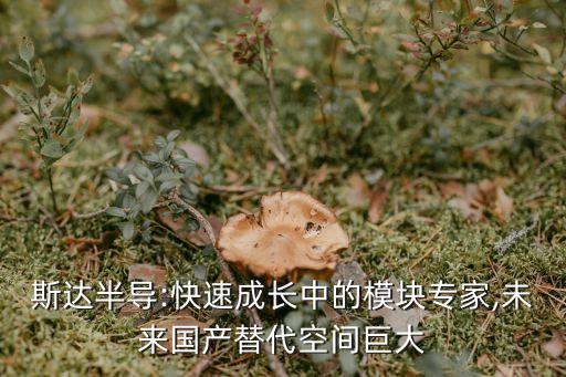 斯達半導:快速成長中的模塊專家,未來國產(chǎn)替代空間巨大