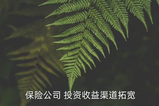  保險公司 投資收益渠道拓寬