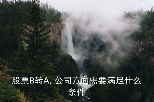 股票B轉(zhuǎn)A, 公司方面需要滿足什么條件