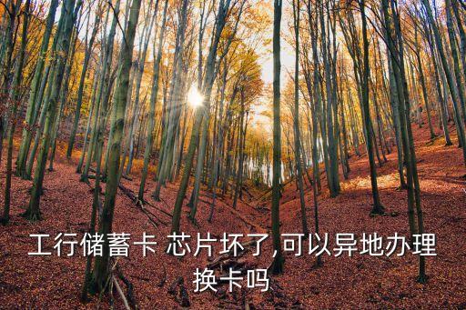 工行儲(chǔ)蓄卡 芯片壞了,可以異地辦理?yè)Q卡嗎