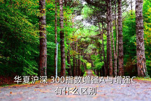 華夏滬深 300指數增強A與增強C有什么區(qū)別