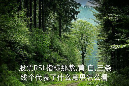  股票RSL指標(biāo)那紫,黃,白,三條線個代表了什么意思怎么看