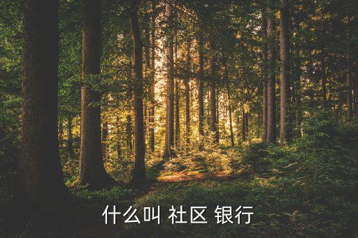 什么叫 社區(qū) 銀行