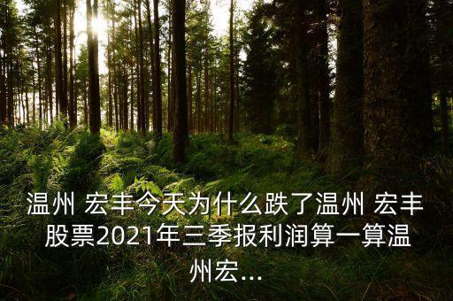 溫州 宏豐今天為什么跌了溫州 宏豐 股票2021年三季報利潤算一算溫州宏...