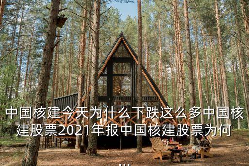 中國核建今天為什么下跌這么多中國核建股票2021年報(bào)中國核建股票為何...