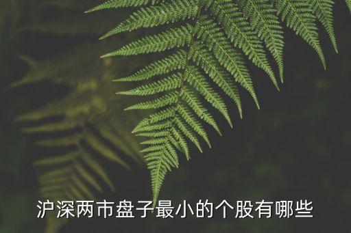 滬深兩市盤子最小的個(gè)股有哪些