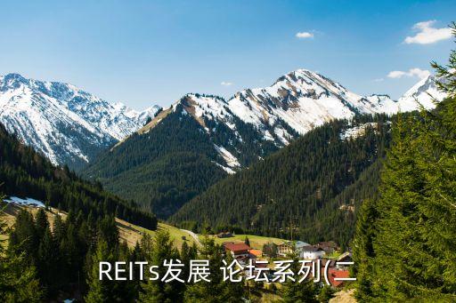 REITs發(fā)展 論壇系列(二