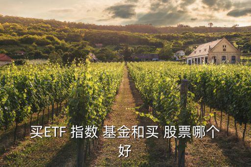 買ETF 指數(shù) 基金和買 股票哪個(gè)好