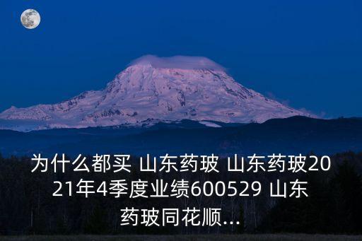 為什么都買 山東藥玻 山東藥玻2021年4季度業(yè)績(jī)600529 山東藥玻同花順...