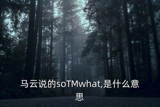 馬云說的soTMwhat,是什么意思