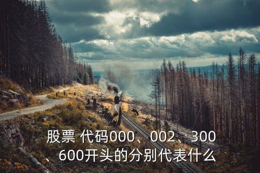  股票 代碼000、002、300、600開頭的分別代表什么