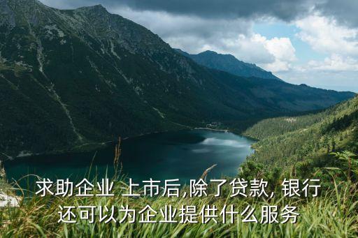 求助企業(yè) 上市后,除了貸款, 銀行還可以為企業(yè)提供什么服務