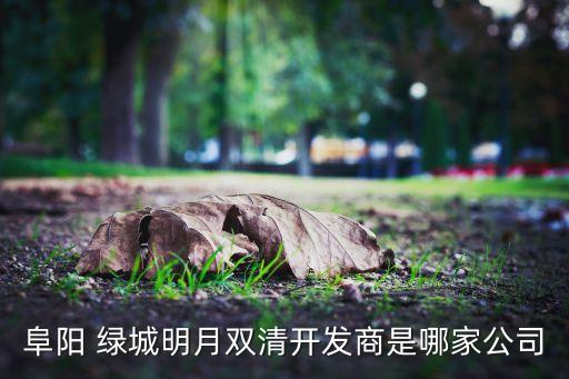 阜陽 綠城明月雙清開發(fā)商是哪家公司