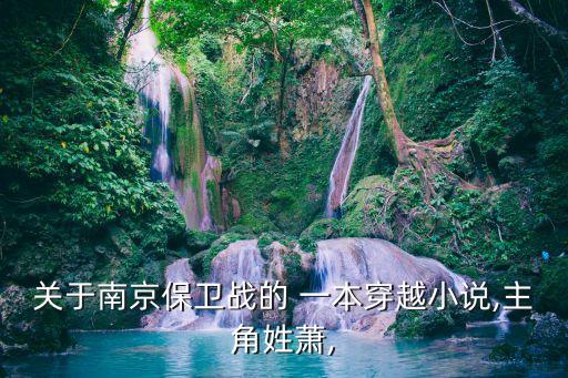 關(guān)于南京保衛(wèi)戰(zhàn)的 一本穿越小說,主角姓蕭,