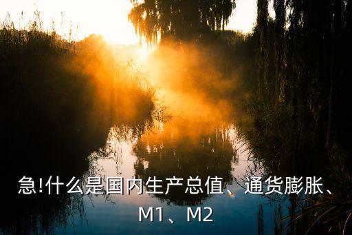 急!什么是國(guó)內(nèi)生產(chǎn)總值、通貨膨脹、M1、M2