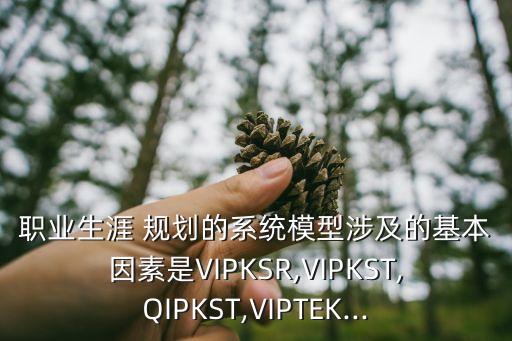 職業(yè)生涯 規(guī)劃的系統(tǒng)模型涉及的基本因素是VIPKSR,VIPKST,QIPKST,VIPTEK...