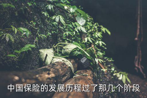 中國保險(xiǎn)的發(fā)展歷程過了那幾個(gè)階段