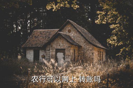 農(nóng)業(yè)銀行沒(méi)有轉(zhuǎn)賬功能嗎