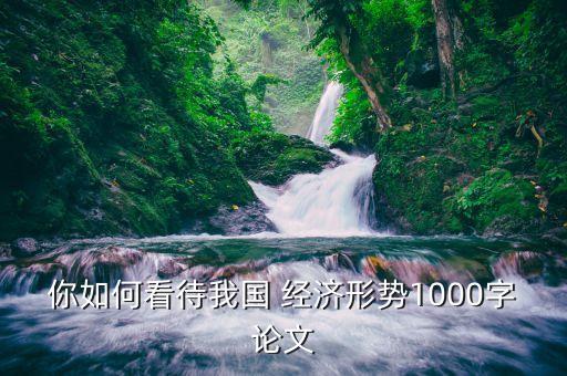 你如何看待我國 經(jīng)濟(jì)形勢1000字論文