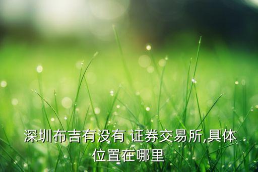 深圳龍崗證券公司,龍崗國(guó)泰君安證券公司地址