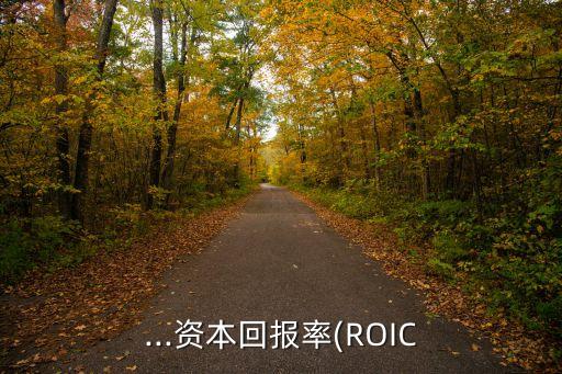 ...資本回報(bào)率(ROIC