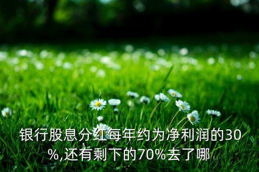  銀行股息分紅每年約為凈利潤的30%,還有剩下的70%去了哪