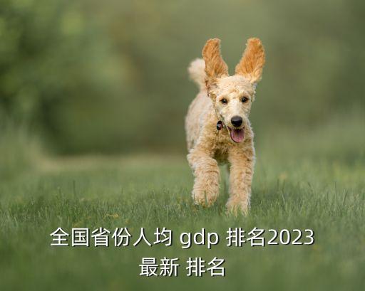 全國省份人均 gdp 排名2023最新 排名