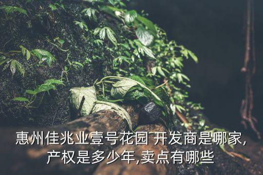 惠州佳兆業(yè)壹號(hào)花園 開發(fā)商是哪家,產(chǎn)權(quán)是多少年,賣點(diǎn)有哪些