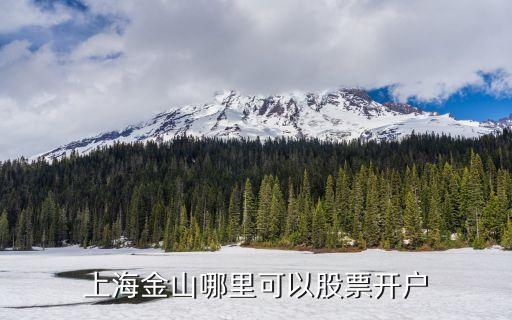 上海金山哪里可以股票開戶