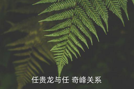 任貴龍與任 奇峰關(guān)系