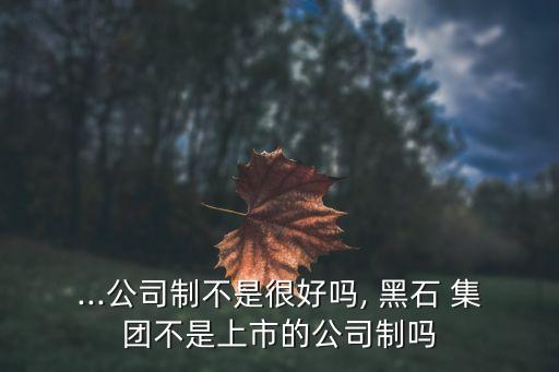 ...公司制不是很好嗎, 黑石 集團不是上市的公司制嗎