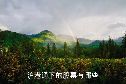 青島賽輪股份有限公司地址,賽輪集團(tuán)股份有限公司青島工廠