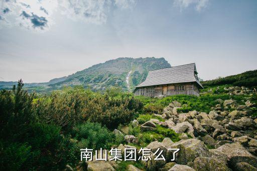 南山公司轉讓,南山診所轉讓最新消息