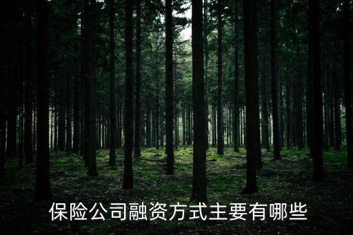  保險(xiǎn)公司融資方式主要有哪些