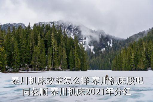 陜西秦川機械發(fā)展股份有限公司怎么樣,陜西建設機械股份有限公司是國企嗎