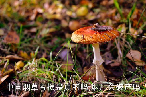 中國煙草虧損是真的嗎,煙廠會破產(chǎn)嗎