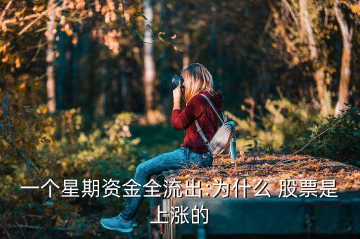 一個(gè)星期資金全流出:為什么 股票是上漲的