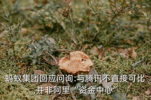 螞蟻集團(tuán)回應(yīng)問(wèn)詢:與騰訊不直接可比,并非阿里“資金中心”